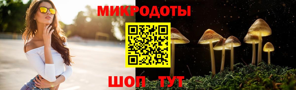 Псилоцибиновые грибы Psilocybe  Вход с VPN  Ливны 